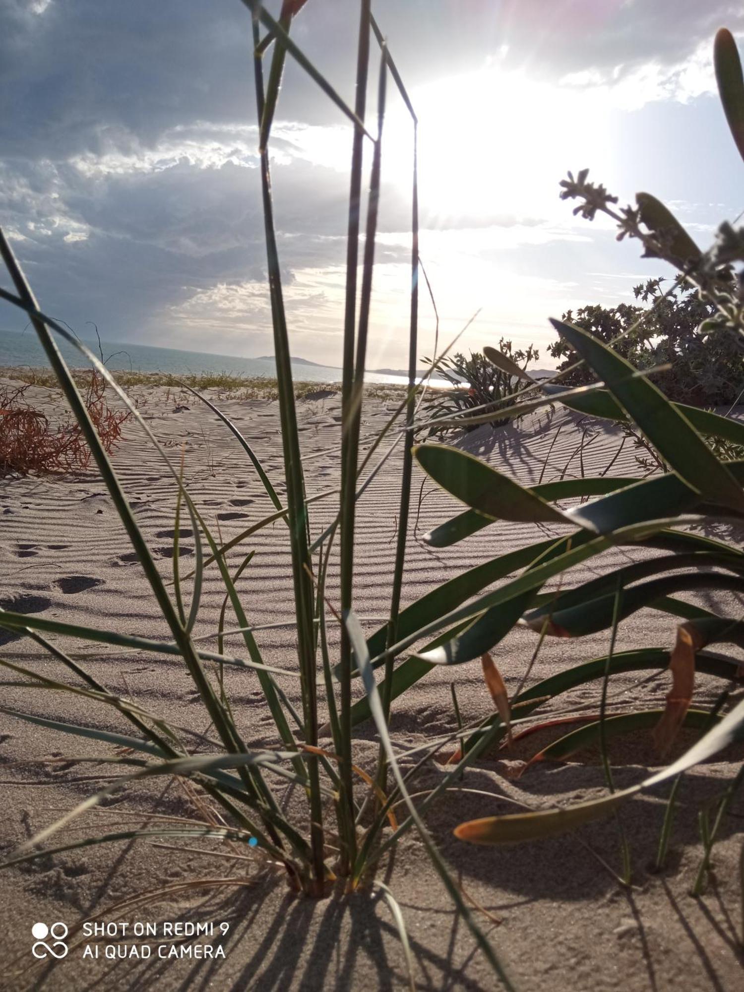Natura E Relax Sul Mare Gela Extérieur photo